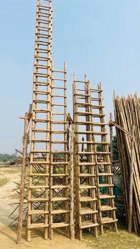 Bamboo Ladders